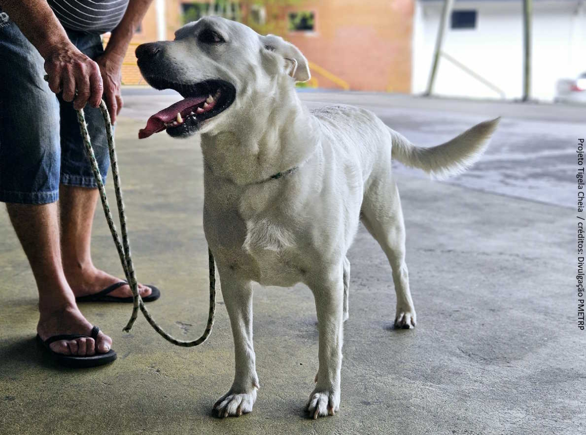 Projeto Tigela Cheia  / créditos: Divulgação PMETRP
