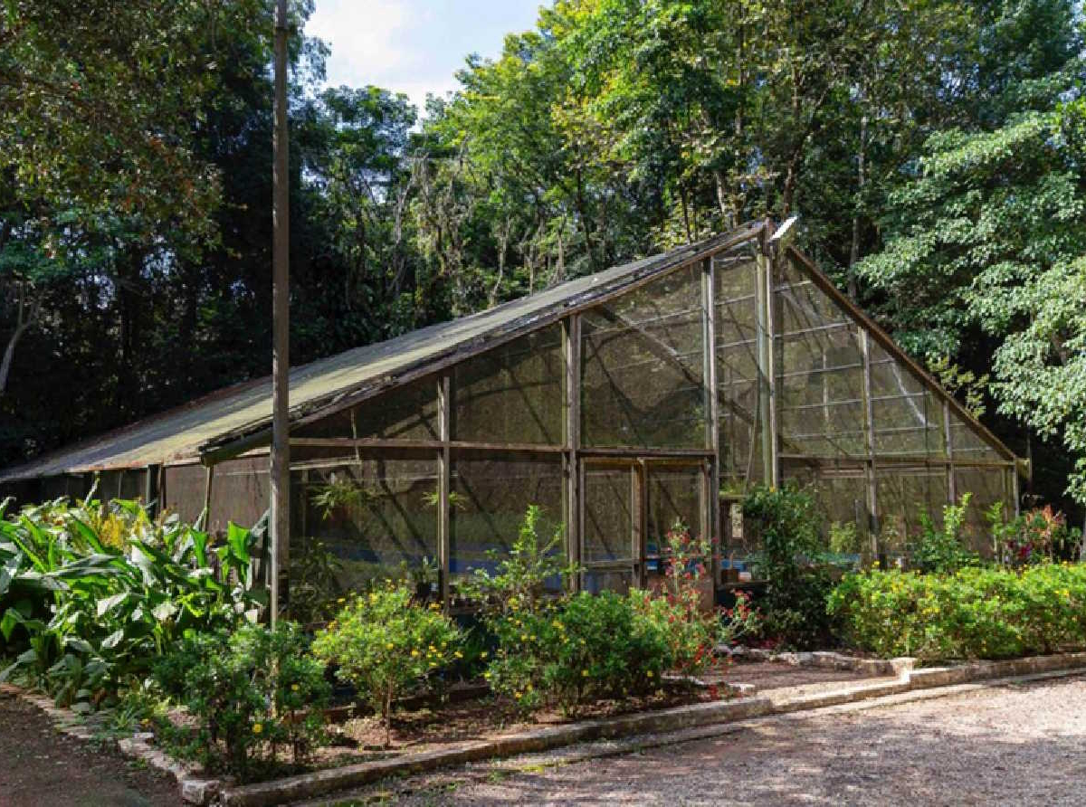 Borboletário de Diadema  / crédito: Adriana Horvath