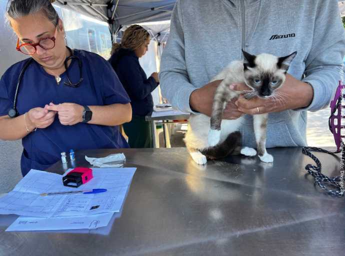 Programa “Bem-Estar Animal” de Ilhabela/SP
